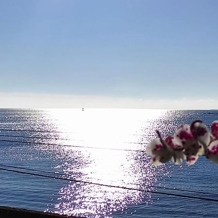 Studio Face A La Mer Concarneau Ngoại thất bức ảnh