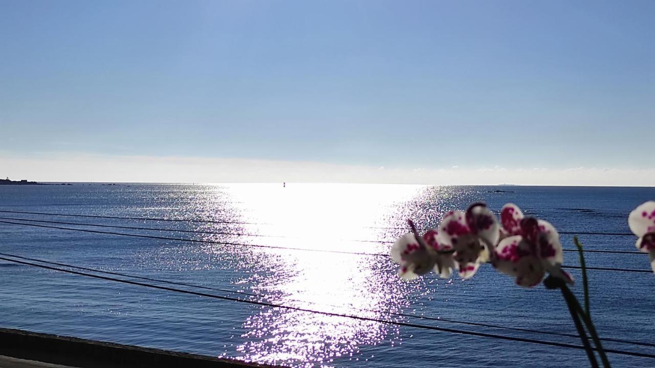 Studio Face A La Mer Concarneau Ngoại thất bức ảnh
