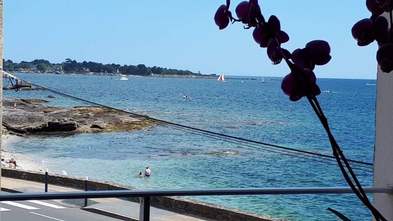 Studio Face A La Mer Concarneau Ngoại thất bức ảnh